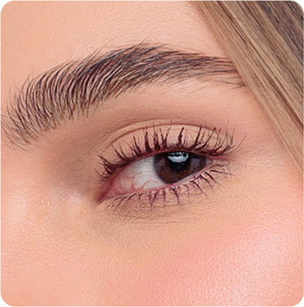 Ojos