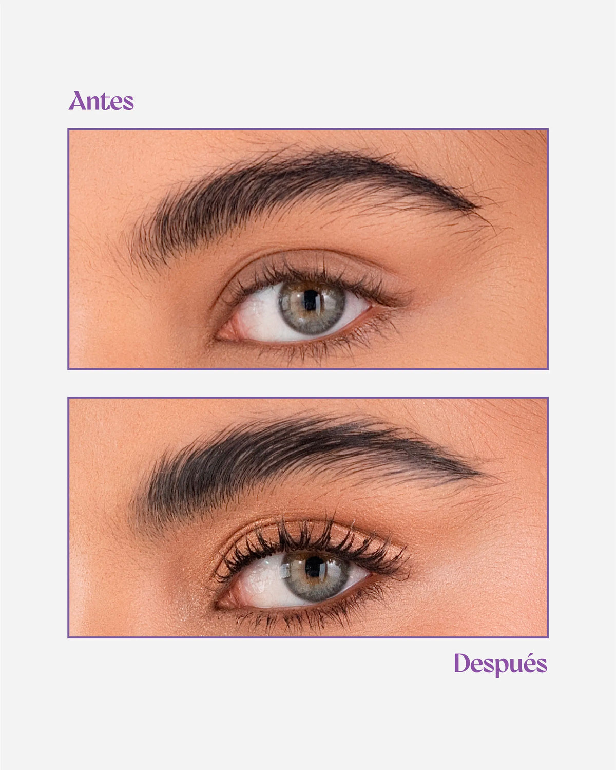GEL DE CEJAS ALICIA